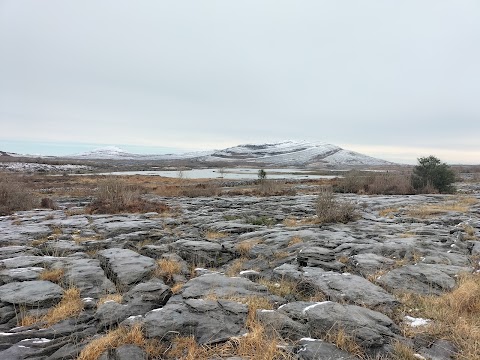 The Burren B&B