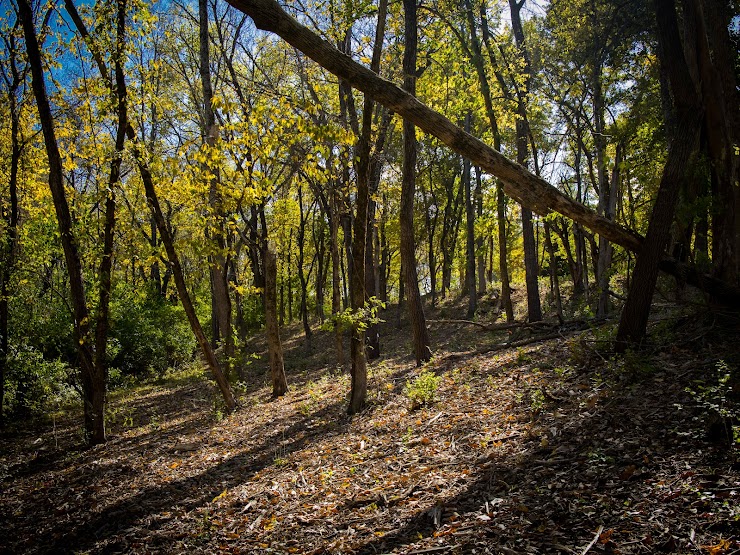 Martha Lafite Thompson Nature Sanctuary, Liberty, MO