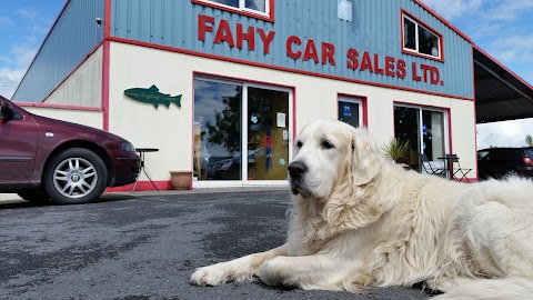 Fahy Car Sales Ltd.