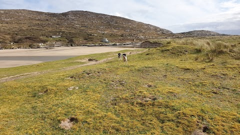 Derrynane Shores