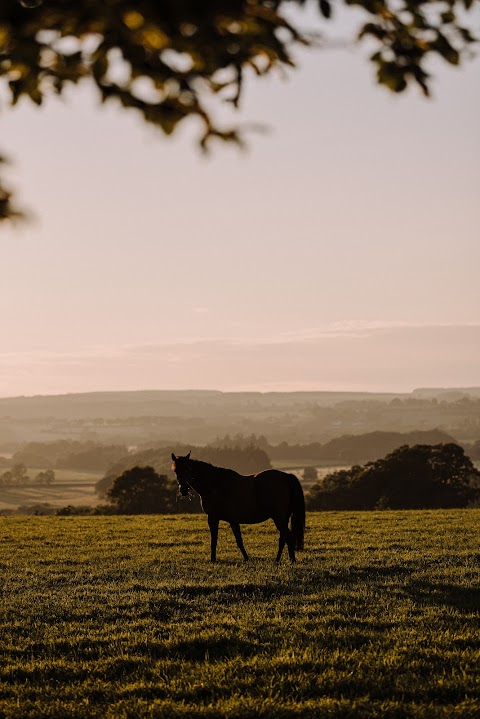 Kilshannig Court Yard - kilshannig stud, kilshannig, Co. Cork