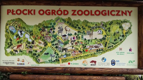 MIEJSKI OGRÓD ZOOLOGICZNY W PŁOCKU Sp. z o.o.