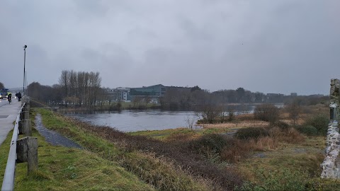 University of Galway, Department of Engineering and Informatics