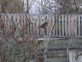 Nenagh Town Park