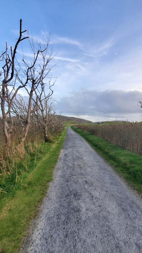 Derrynane House park