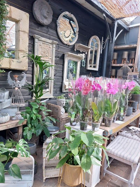 Clarenbridge Garden Centre