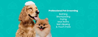 TLC Pet Grooming Athlone