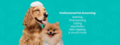 TLC Pet Grooming Athlone