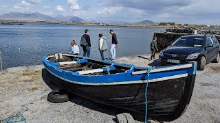 Roundstone bay and island boat and food tour