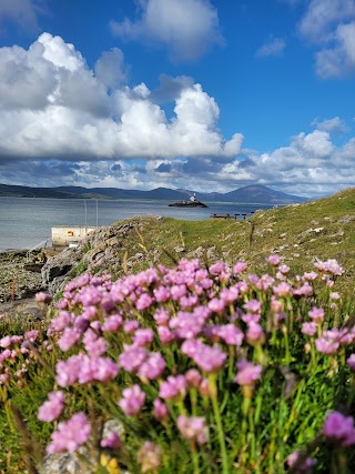 Fenit Diving Board