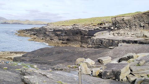 The Valentia Island Tetrapod Footprints