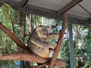 Selina Magnetic Island