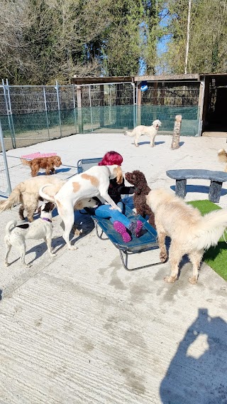 Lough Bo Boarding Kennels