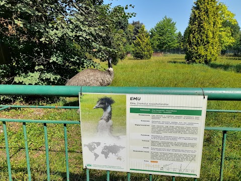 Emu w śląskim ZOO