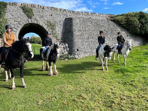 Castlefergus Riding Stables