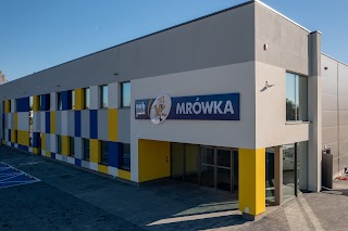 PSB Mrówka Czechowice-Dziedzice