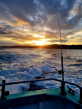 Cook Strait Fishing Charters