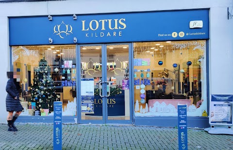 Lotus kildare