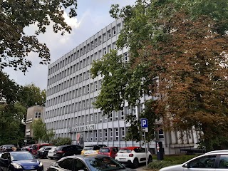 Instytut Śląski
