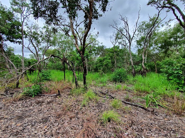 Mamukala Wetlands
