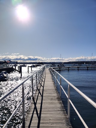 Murray Rose Pool (Redleaf Pool)