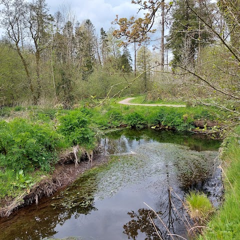 Warrenscourt Forest Recreational Area