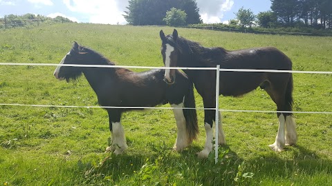 Coomanore South Equestrian Centre