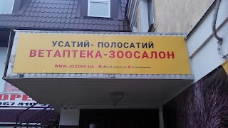 Усатий Полосатий