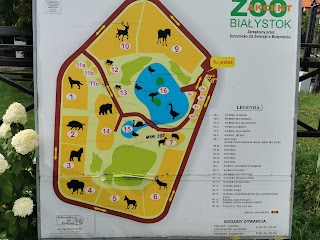 Akcent ZOO