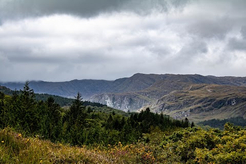 Glengarriff Woods Car Park(Carrchlós Coiltte Gleann Garbh)