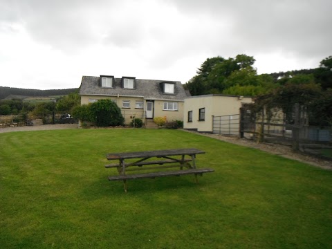 Country Dogs Boarding Kennels and Cattery