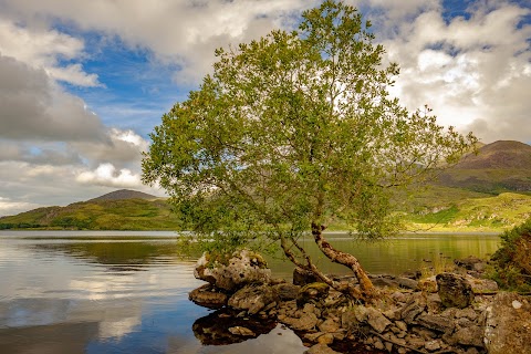 Lough Acoose View Point