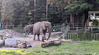 Gdański Ogród Zoologiczny