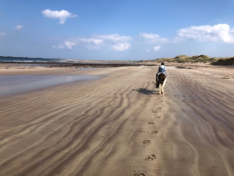 O'Connor's Trekking Horse Riding