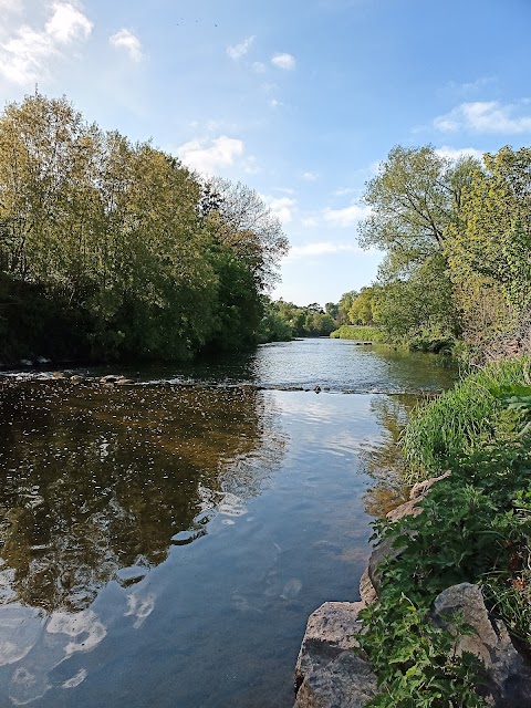 Croom Town Park