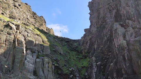 Skelligs Rock Cruises