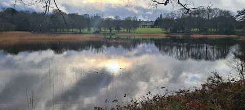 Emo Court NEW Car Park