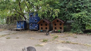 Kitty House