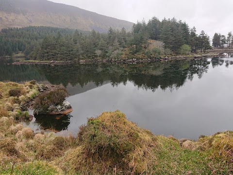 Glanteenassig Forest Park