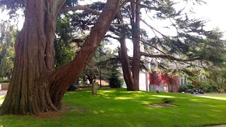 Cork University Business School