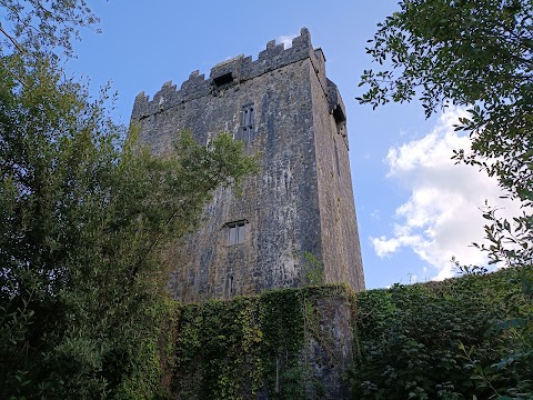 Aughnanure Castle