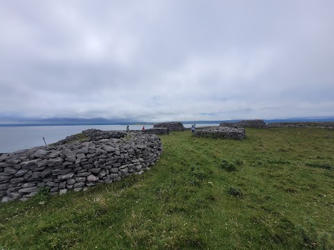 Tralee and Brandon Bay Eco-Marine Tours