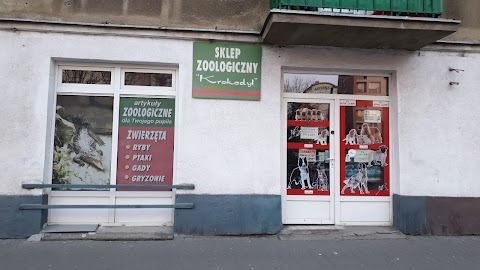 Krokodyl. Sklep zoologiczny M.Rosiński