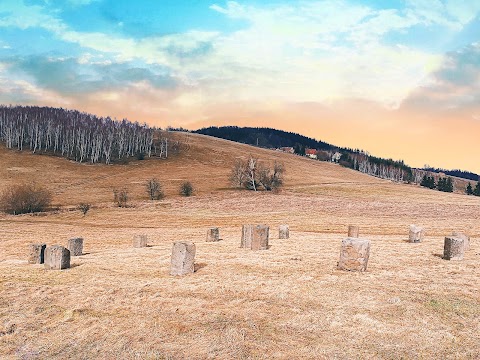 Kamienny krąg w Radzimowicach