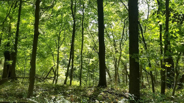 Macbride Nature Recreation Area, Solon, IA