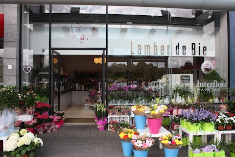 Lamber De Bie Flowers Waterford