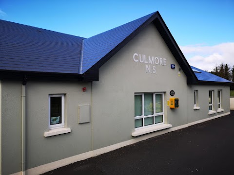 Culmore National School