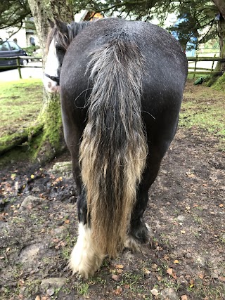 Galway Clare Burren Trail ride / An Sibin Riding Centre