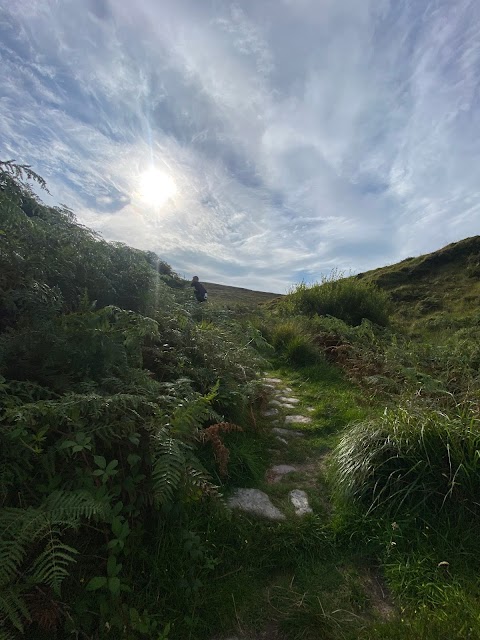 Tonevane Walk Kerry Camino