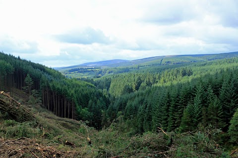 Monicknew- Slieve Bloom Mountain’s track